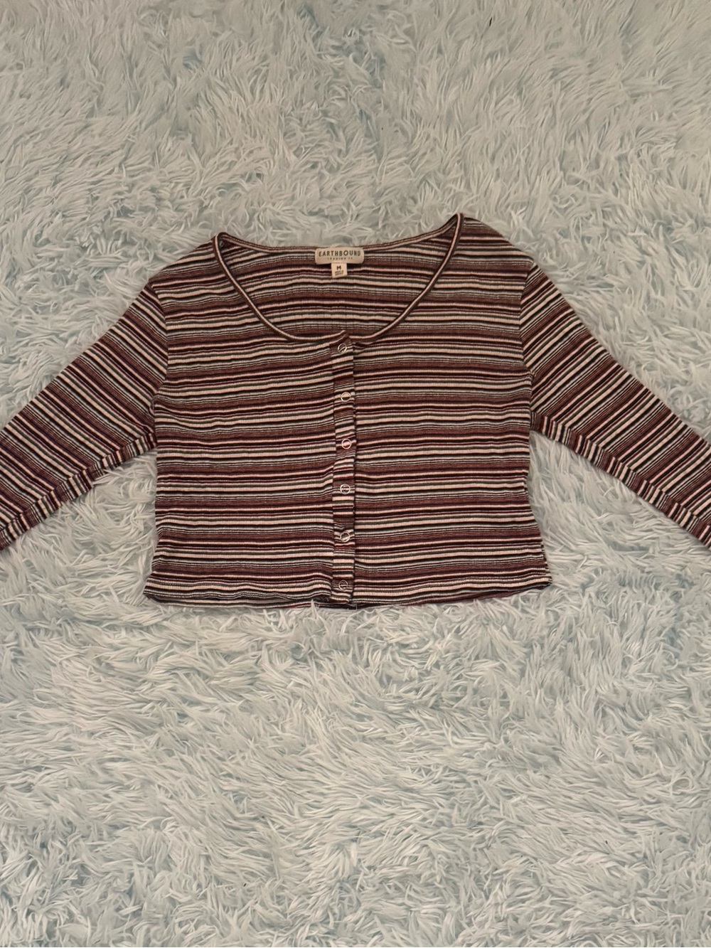 EARTHBOUND Brown and White Striped Cropped Button-Front Long-Sleeved Top
